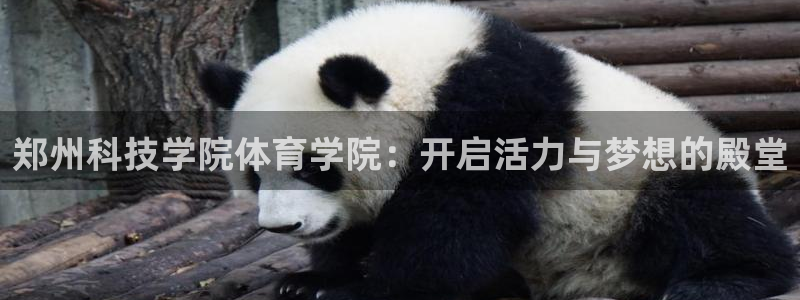 天天体育回民中学：郑州科技学院体育学院：开启活力与梦想的殿堂