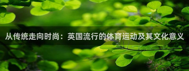 天天体育夺冠：从传统走向时尚：英国流行的体育运动及其文化意义
