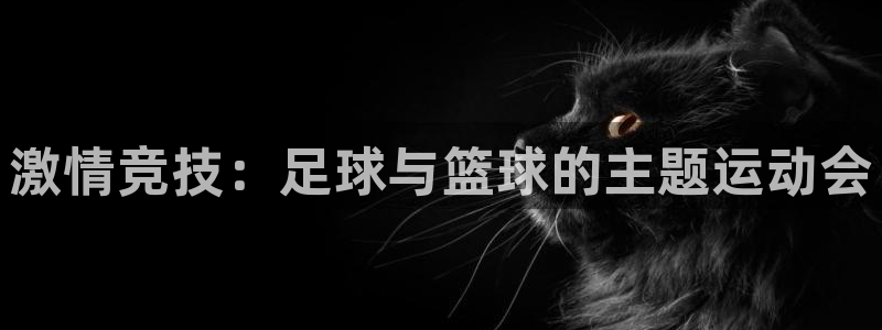 天天体育最新一期：激情竞技：足球与篮球的主题运动会