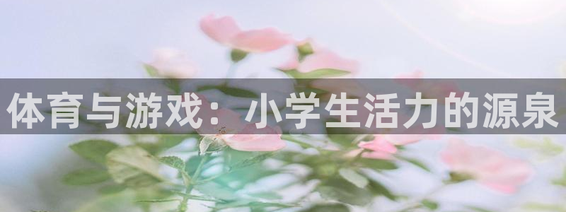 天天体育频道直播：体育与游戏：小学生活力的源泉
