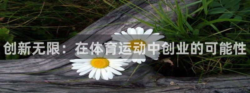 天天体育用品有限公司：创新无限：在体育运动中创业的可能性