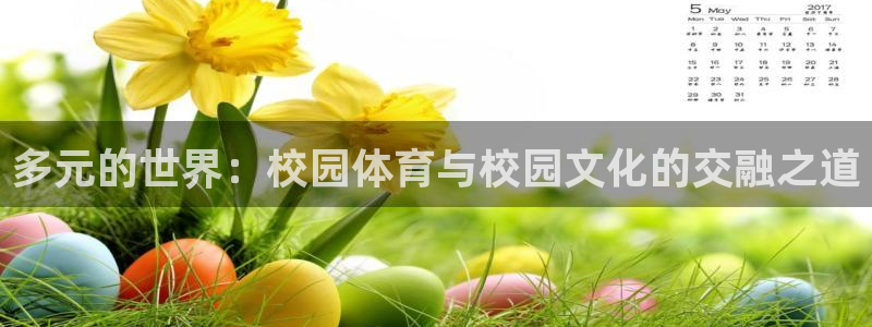 天天体育平台官网：多元的世界：校园体育与校园文化的交融之道