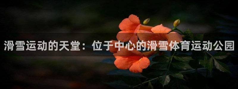天天体育的新消息：滑雪运动的天堂：位于中心的滑雪体育运动公园